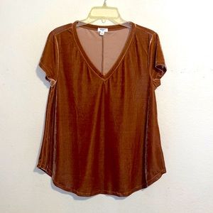 Nwot* Dylan Velour Tee